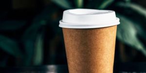 Disposable Paper Cups