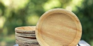 Disposable Paper Plates