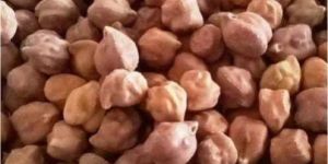 Desi Chana