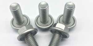 SS Bolts