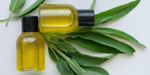 Eucalyptus Pain Relief Oil