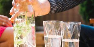 Gajma Distilled Water