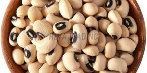 Cowpeas Beans