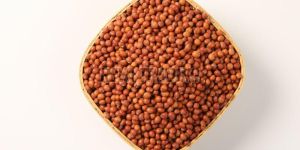 Red Gram Seeds