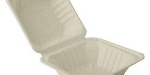 White 6 X 6-inch Biodegradable Clamshell Box