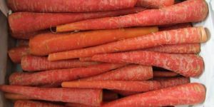 Fresh Red Carrot