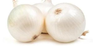 60kg Maharashtra White Onion