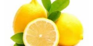 Fresh Lemon