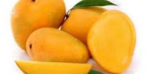 Fresh Mangoes