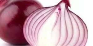 Onion
