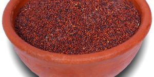 Finger Millet