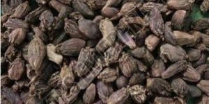 Black Cardamom Seed