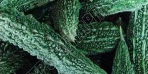 Fresh Bitter Gourd