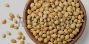 Coriander Seeds
