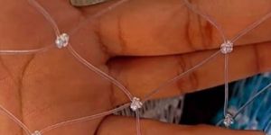 Transparent Anti Bird Net