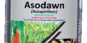 NITROGEN FIXATIVE BIO FERTILIZER ASOSPIRILLIUM ASODAWN