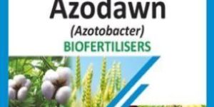 NITROGEN FIXATIVE BIO FERTILIZER AZOTOBACTER