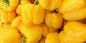 a Grade Yellow Capsicum