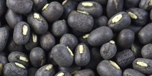 Black Whole Urad Dal