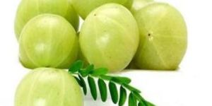 Fresh Indian Gooseberries