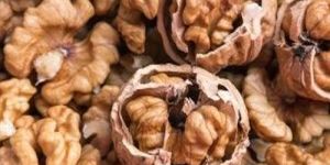 Premium Shelled Walnuts