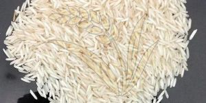 White PB1 Raw Basmati Rice