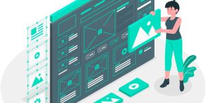 Custom Web Application Development Services