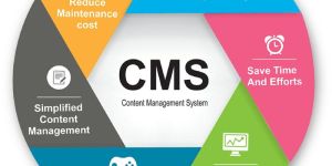 Content Management System