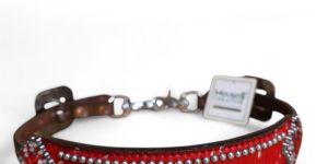 Wither Straps For Horses
