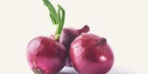 Fresh Red Onion