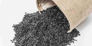Black Rice