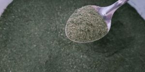 Dehydrated Moringa Powder