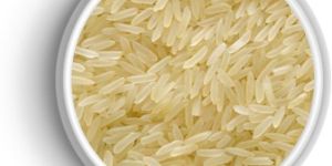 IR 64 Rice