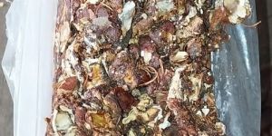 Seedless Tamarind 2024