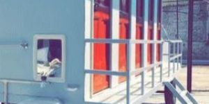 MS Portable Toilet Van