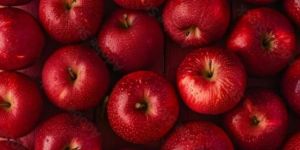 Fresh Red Apple