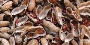 Groundnut Shell