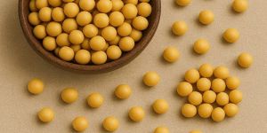Soybean Seeds