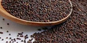 Black Mustard Seeds