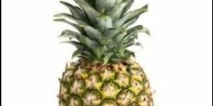 Fresh Pineapple King Size (Big)