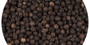 Black Pepper Seeds