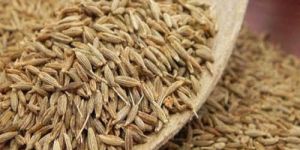 Cumin Seeds