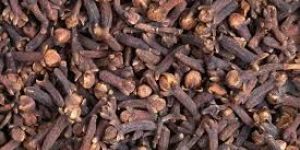 Dry Cloves