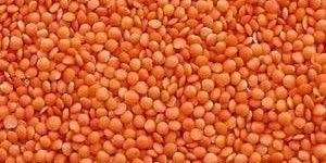Whole Masoor Dal