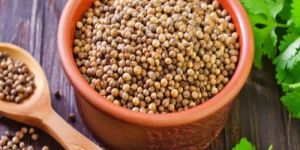 Coriander Seeds