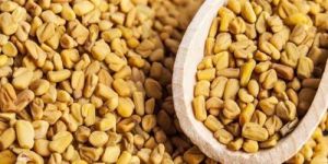 Fenugreek Seeds