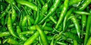 Fresh Green Chilli
