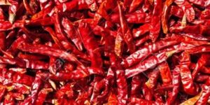 Red Chilly