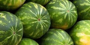 Watermelon