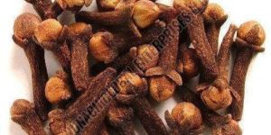 Dry Cloves